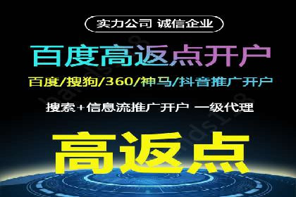 百度竞价代运营公司成功案例解析